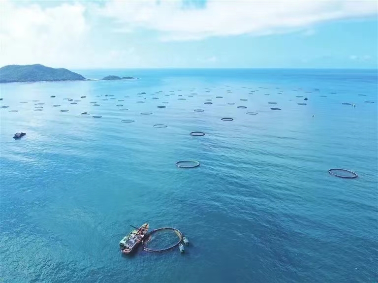 再攀新高！三亞農(nóng)投海洋產(chǎn)業(yè)有限公司成功入選
