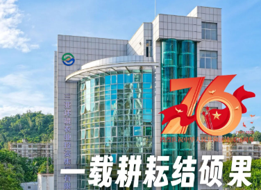 献礼国庆丨一载耕耘结硕果 实干躬行贺华诞
